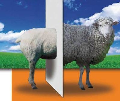 Placa Greenline de Fermacell