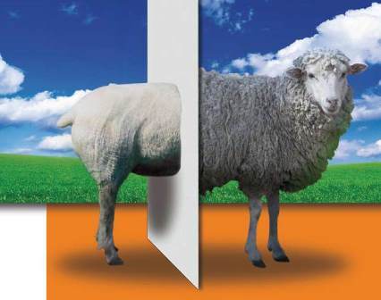 Placa Fermacell con propiedades purificantes.